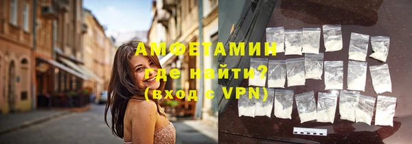 гидра Горняк