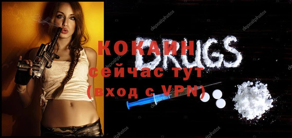 молекула духа Горнозаводск