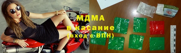 гидра Горняк