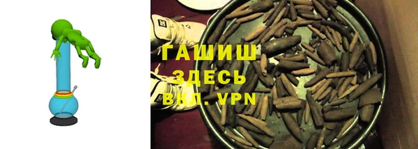 гидра Горняк