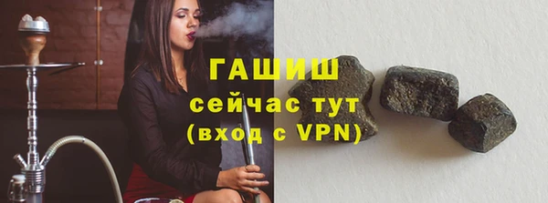 гидра Горняк