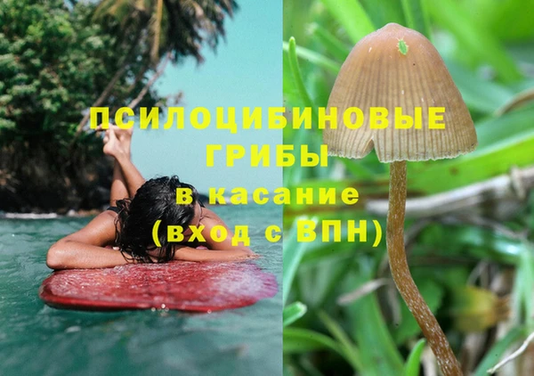гидра Горняк
