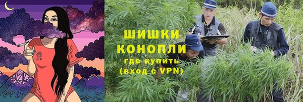 гидра Горняк