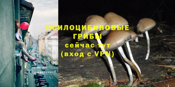 молекула духа Горнозаводск