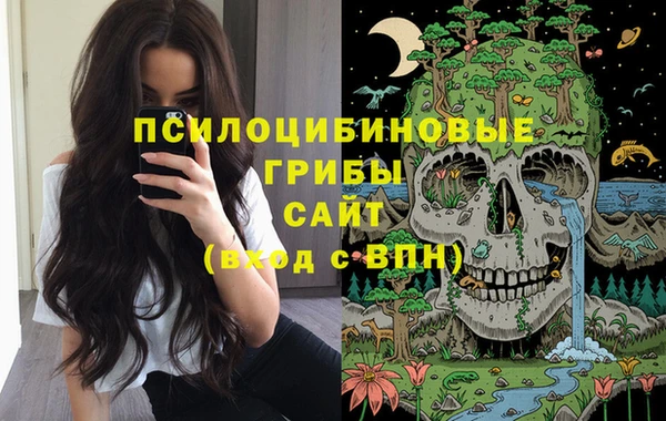 молекула духа Горнозаводск
