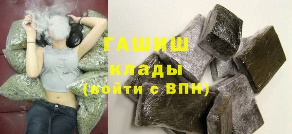 гидра Горняк