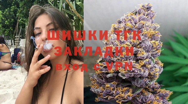 молекула духа Горнозаводск