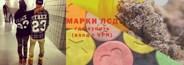 гидра Горняк