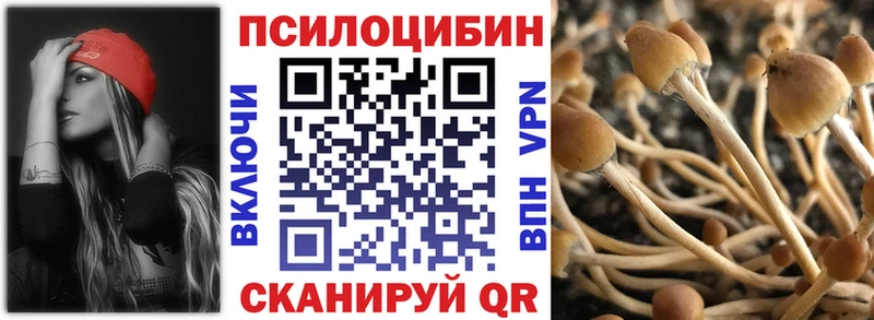 Галлюциногенные грибы прущие грибы  Купить  Краснотурьинск 